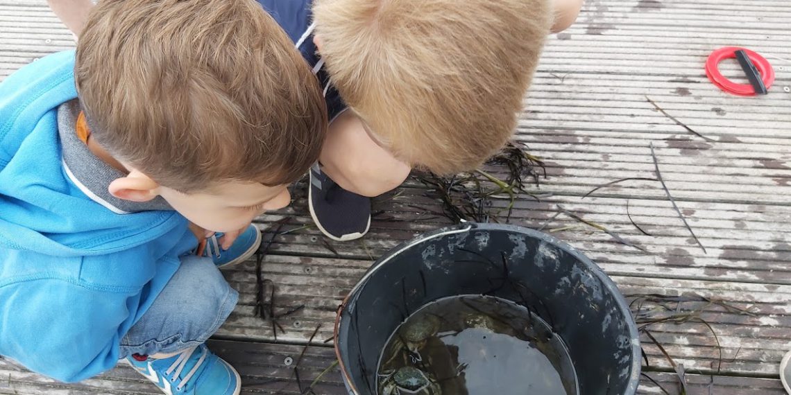 Sommerferie idéer: Vestre Fjordpark i Aalborg