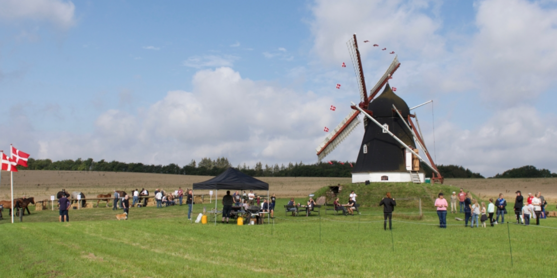 Hestedag for hele familien på Dorf Møllegård d. 23. august 2020