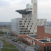 Covid-19-patienter kan reddes ved at dæmpe immunsystemet