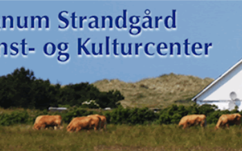 “Mal dig glad” – Kom på kunstkursus på Tranum Strandgård