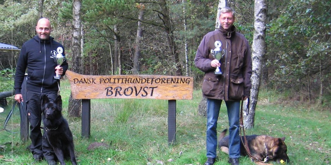 DM for politi hunde – hunde fra Brovst skal med til konkurrencen i Silkeborg