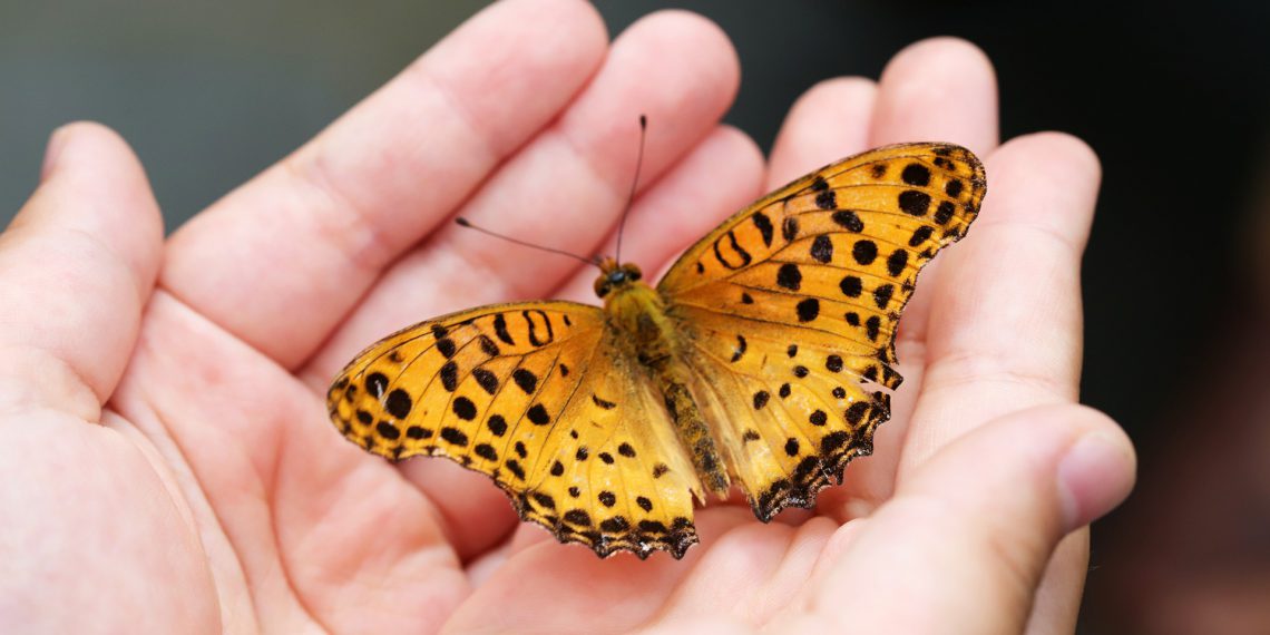 En naturoplevelse skal der til: Naturens Dag med sjove og nærværende oplevelser