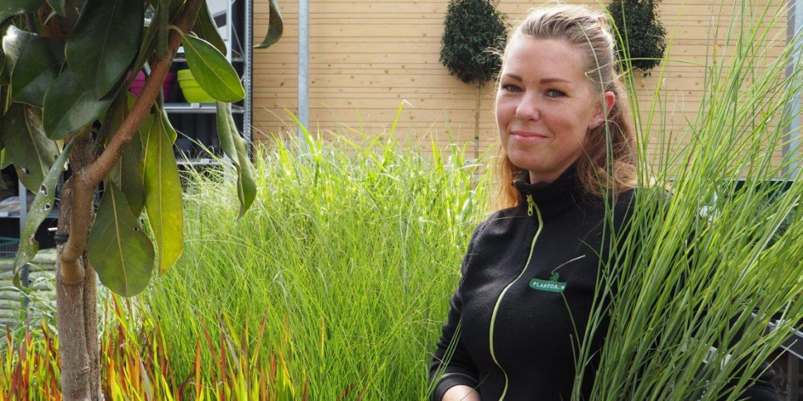 Haveekspert giver fem tips til en sund have