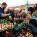 Mangler du inspiration til sommerhygge med venner eller familie?