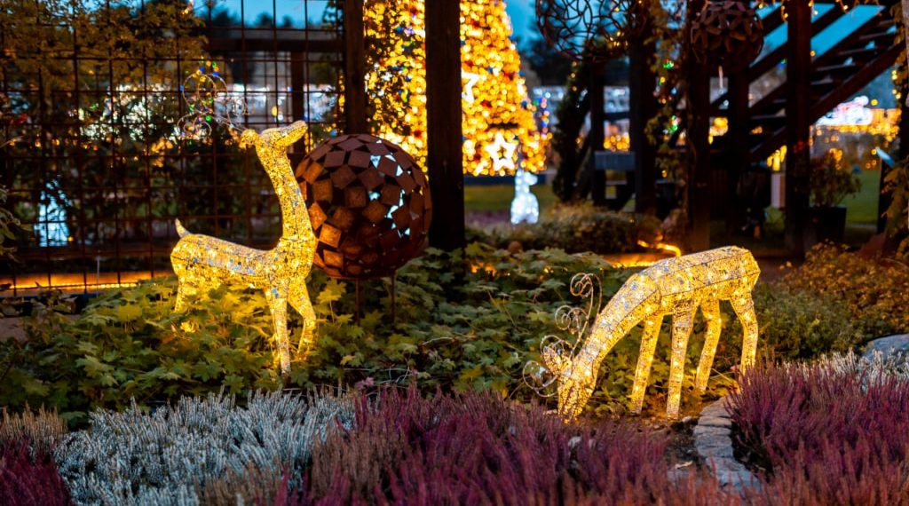 Magisk Jul i Skulpturparken Blokhus