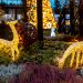 Magisk Jul i Skulpturparken Blokhus