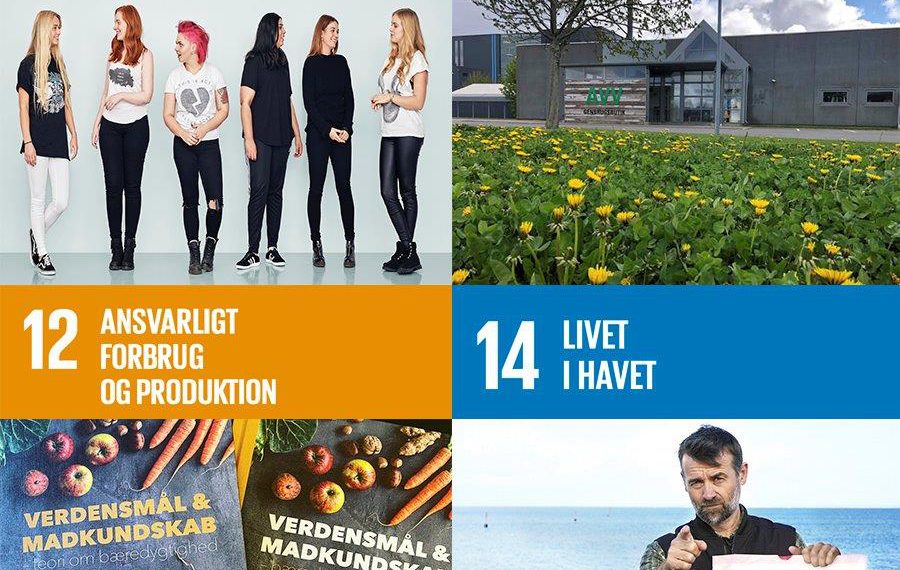 Konkrete eksempler gør Verdensmålene folkelige