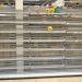 Vognmændene advarer: Nulzone vil skabe tomme butikshylder