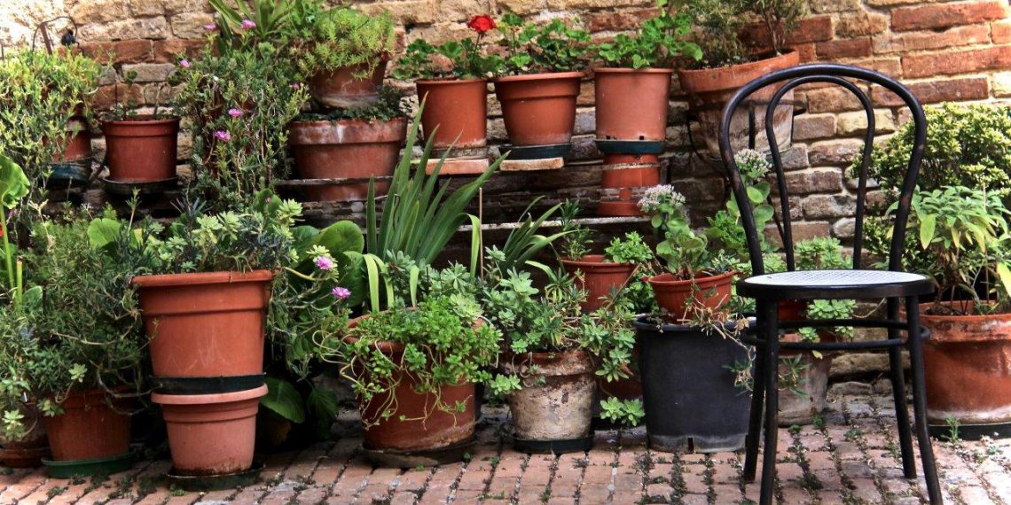 Sådan får du blomstrende succes på terrassen
