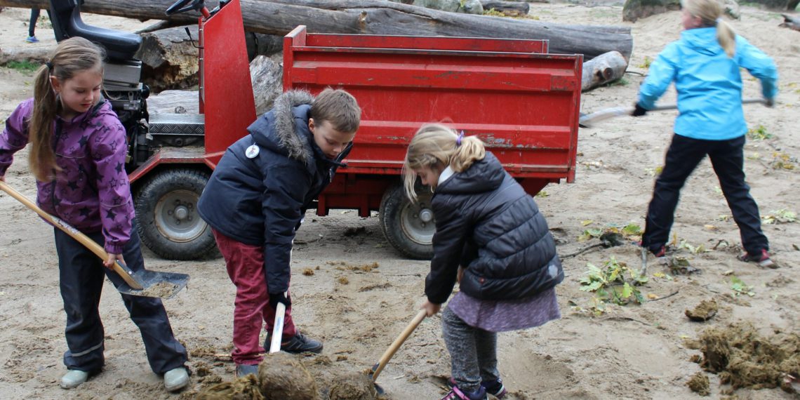 Det skal du opleve i Nordjylland i efteråret