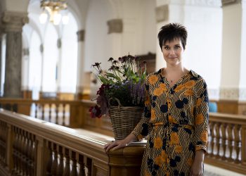 Debatindlæg: Med lov SKAL land bygges