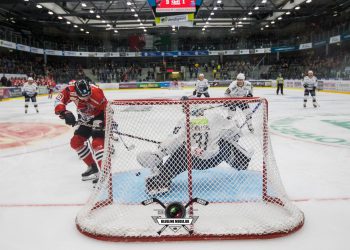 Målmandstalent til Aalborg Pirates  