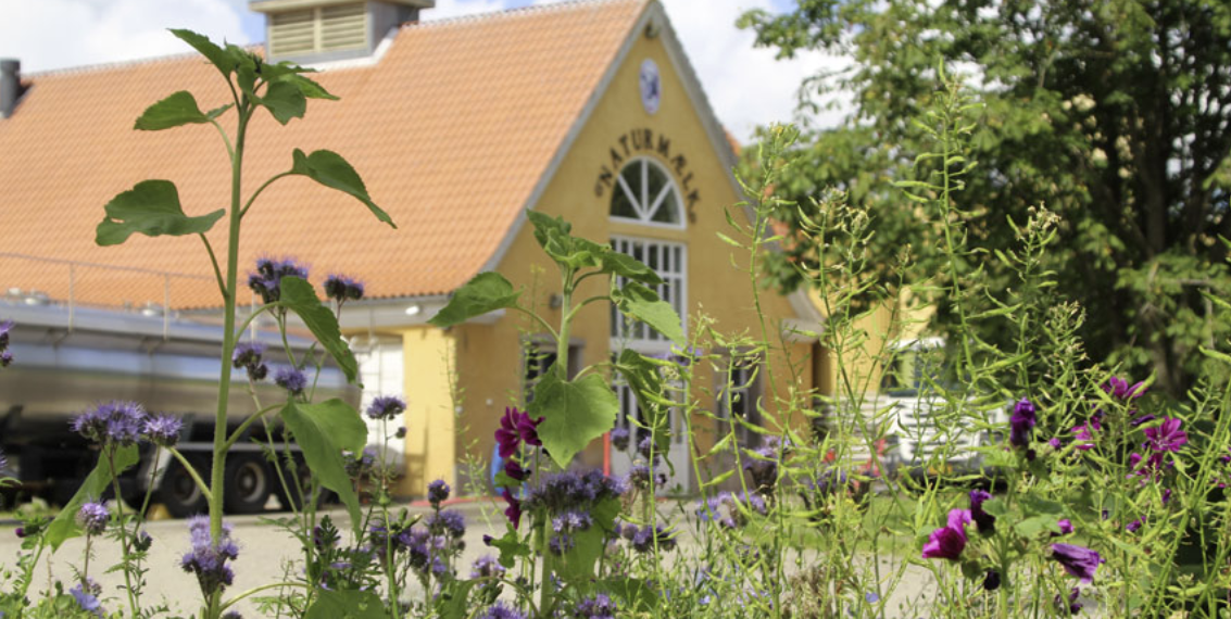 Naturmælk øger fokus på klima med ny drikkemælk