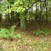 Sommerferie idéer i Nordjylland: Egholm