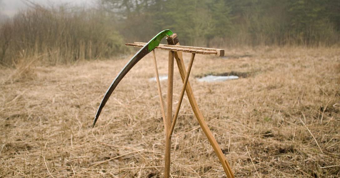 Naturpleje i Fjerritslev med DN Jammerbugten
