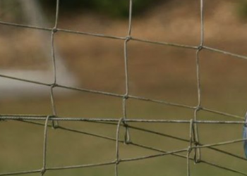 DIVISIONKAMP OG POKALKAMP UDSÆTTES GRUNDET COVID-19 RESTRIKTIONER