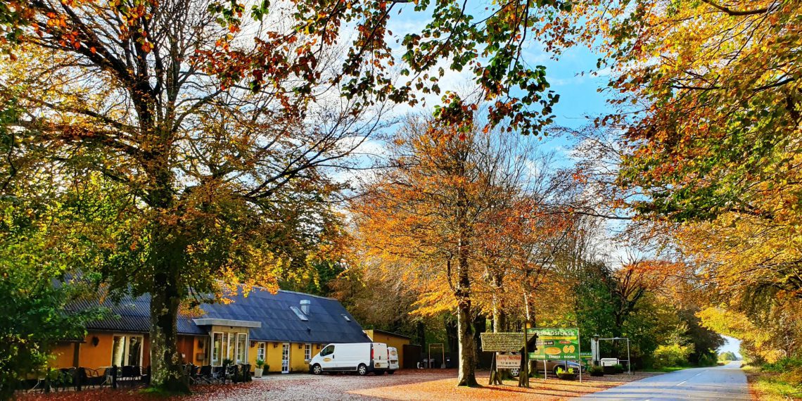 Fantastisk sensommerferie i Faarup Skovhus