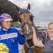 Nordjyder kvalificeret til Dansk Trav Derby