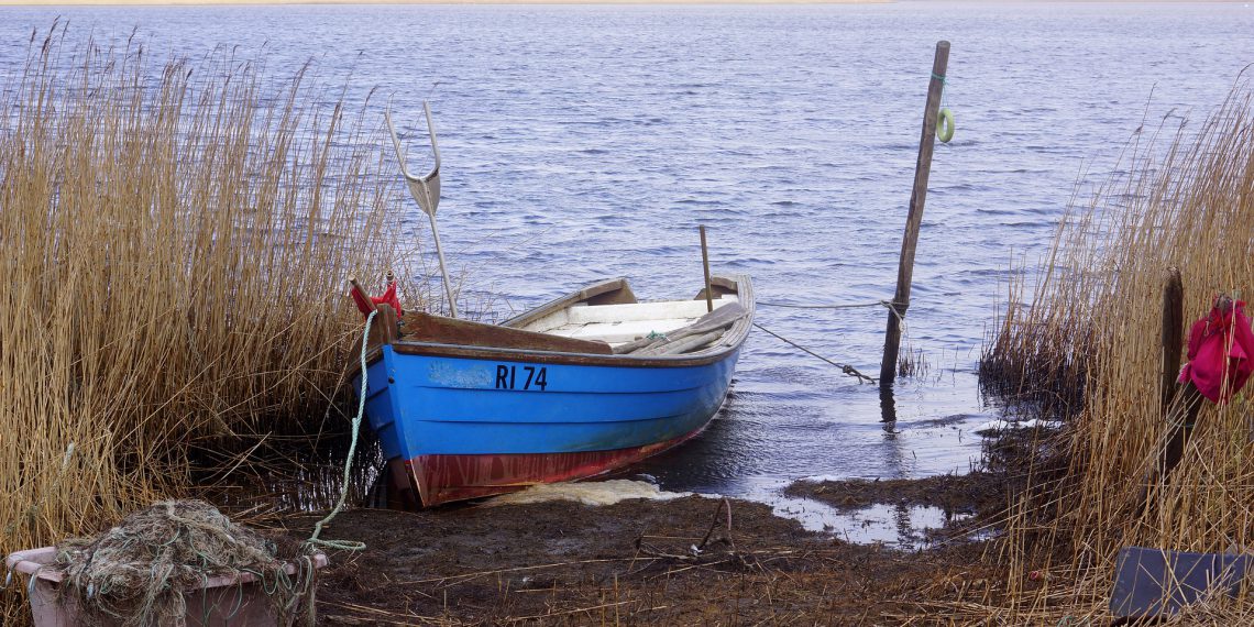 Hvilke ligheder er der mellem lystfiskeri i Limfjorden og byggeriet ved Femern Bælt?