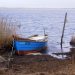 Hvilke ligheder er der mellem lystfiskeri i Limfjorden og byggeriet ved Femern Bælt?