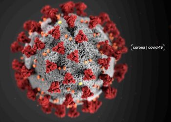Sådan skal virksomhederne i kommunerne hjælpes