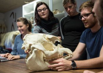 AAU-studerende læser blandt dyrene i Aalborg Zoo