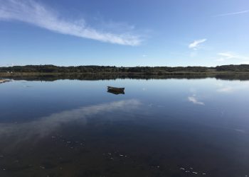 Borgmestre i nordjyske kommuner: Vi skal nok få turisterne tilbage til Nordjylland