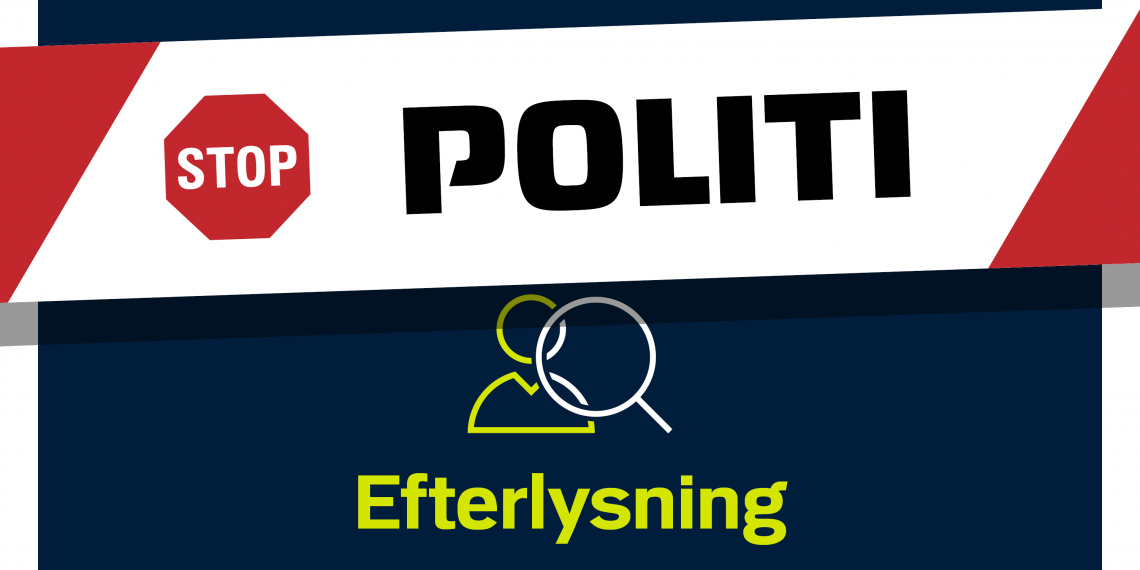 Hjælp politiet: Vidner til vold efterlyses