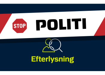 Hjælp politiet: Vidner til vold efterlyses