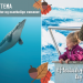 Nordsøen Oceanarium lægger op til efterårshygge
