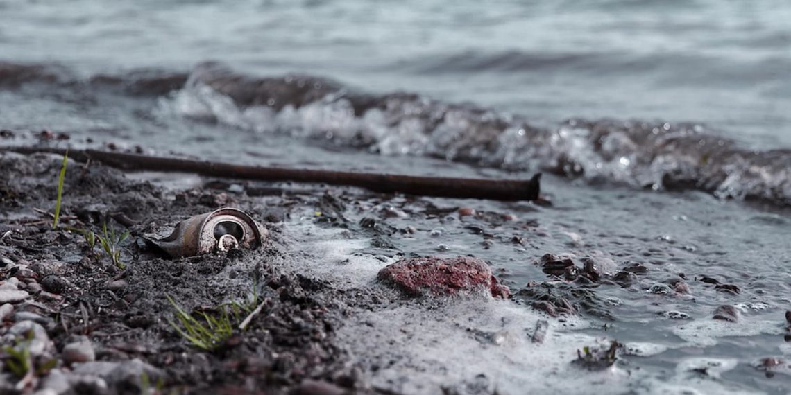 Søværnet oplever boom i indsamlere af havfald