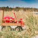 Vandkanten trækker mere i boligkøberne