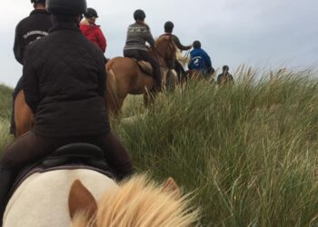 Blokhus og Omegns Naturryttere
