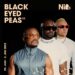 Verdenskendte Black Eyed Peas på Nibe Festival 2022