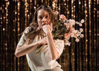 Aalborg Teater: Two Lions and a Castle