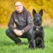 Flere hunde forsikres fra snude til halespids
