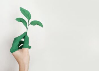 Ny aftale skal sikre øget biogasproduktion i Danmark