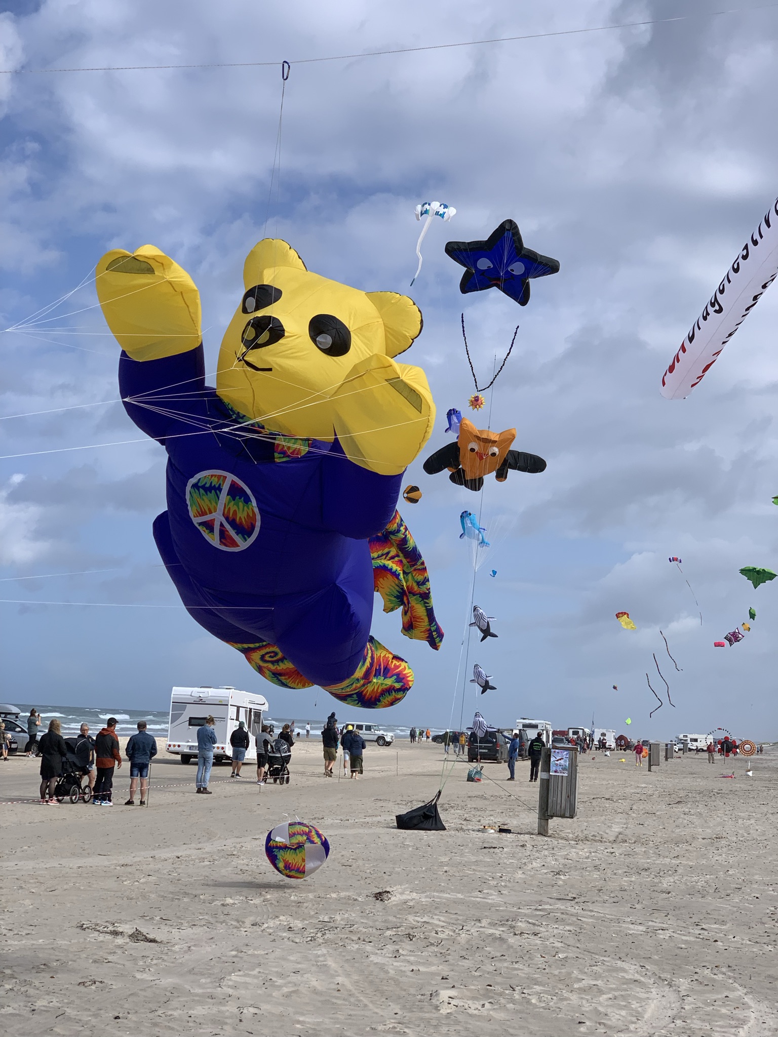 International Wind Festival på Blokhus Strand Jammerbugt Avis