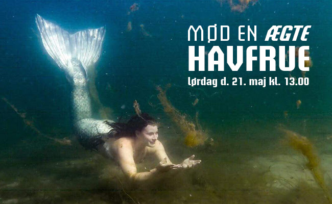 Mød en ægte havfrue i Nordsøen Oceanarium