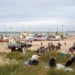 Kutterfestival i Thorupstrand