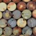 Prognose viser højere gasproduktion end forventet i år – Energistyrelsen sænker dog forventningerne til de kommende fem års olie- og gasproduktion