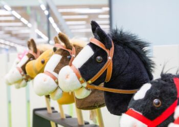 Kæphesteridning hitter hos nordjyske rideklubber