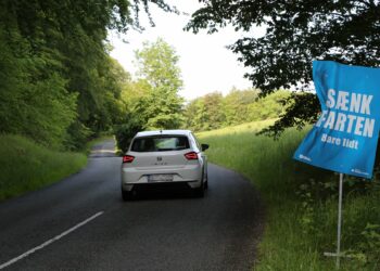Antallet af dræbte i fartulykker halveret