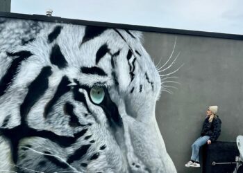 Der er fundet en kunstner til at udsmykke den nye skole i Jetsmark