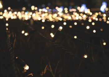 Mere julehygge, mindre elforbrug: Sådan sparer du strøm på julelys