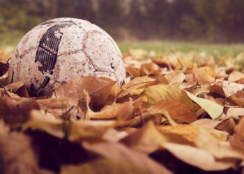 Spiser herrelandsholdet havregrød til morgenmad?