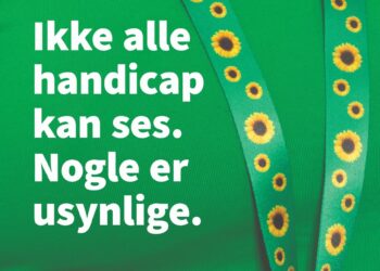 Region Nordjylland bakker op om Solsikkeprogrammet