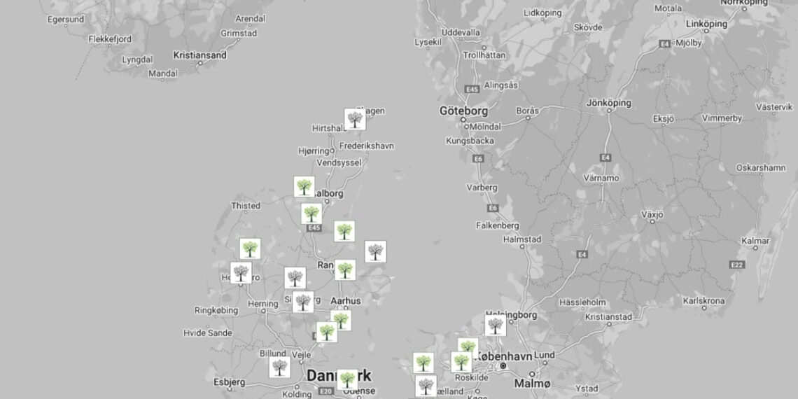 Debatindlæg: Skovbegravelse skal være muligt i hele landet