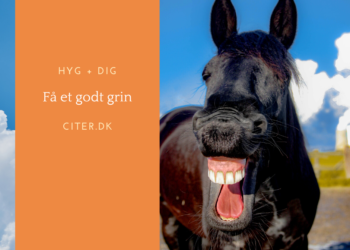 Vi trænger til et godt grin!