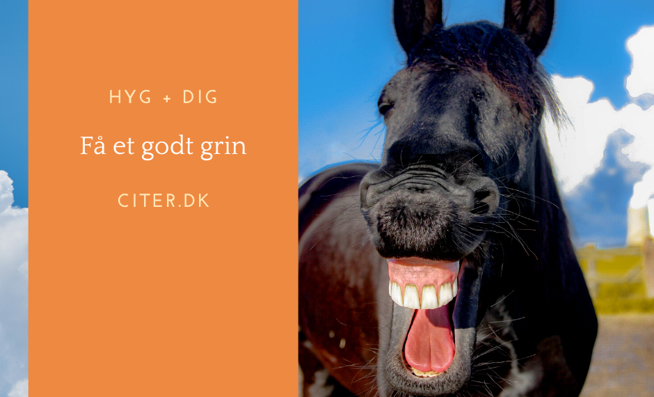 Vi trænger til et godt grin!